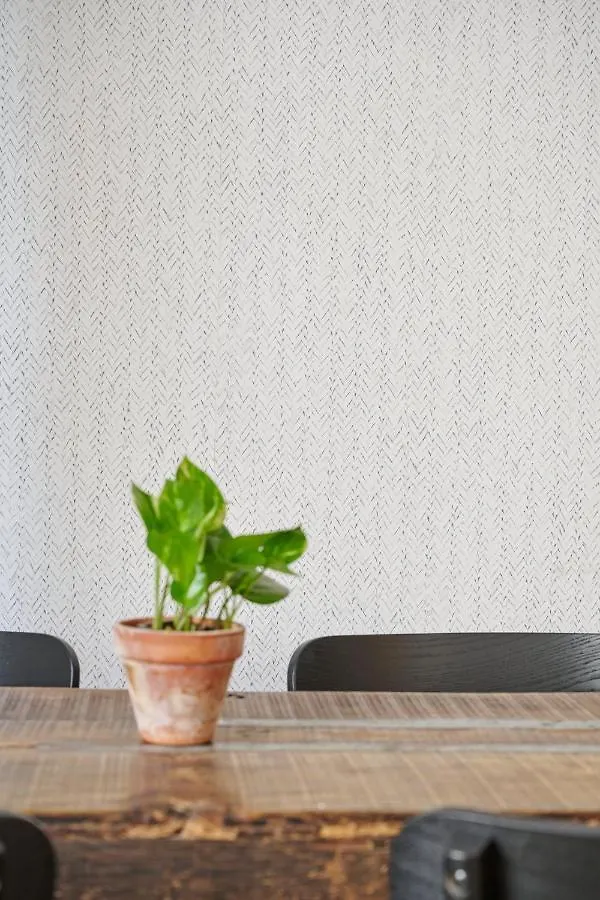 ** Hotel Eco Boutique Hostal Grau Barcelona Spain