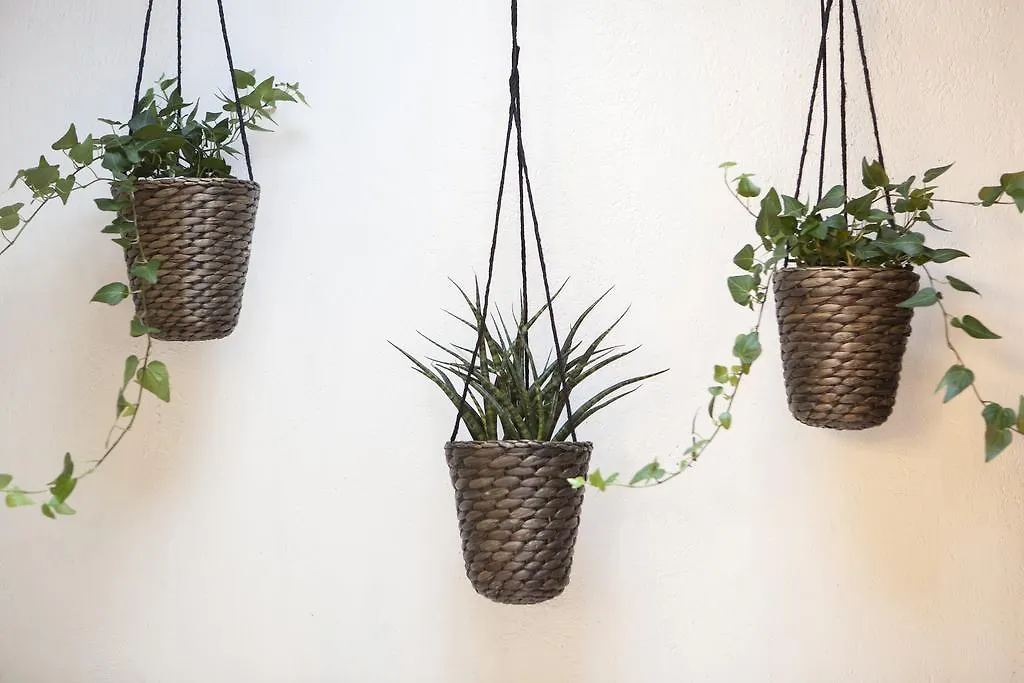** Hotel Eco Boutique Hostal Grau Barcelona Spain